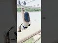 0319 夏日水上娱乐 水上主题公园 水上娱乐胜地 water park videos summer water fun water theme park pool fun 水上テーマパーク