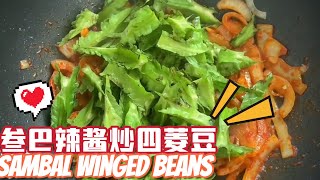 叁巴酱炒四菱豆Sauteed Winged Beans with Sambal Paste | 用调味包超出简单好吃料理，看一次就学会咯🤭👍🏻✨