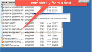SQL instance removing from a host - step by step