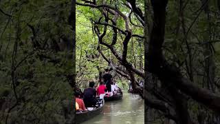 The beautyof Ratargul Swamp  forest inrainyday💚 #travel #beautiful #aesthetie #music #nature #rain