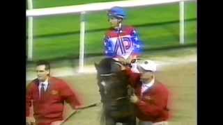 Cigar - 1996 Dubai World Cup + Post Race