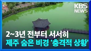연꽃 사라지고 녹조만 둥둥…연화못 내년엔 복원될까 / KBS  2023.06.26.