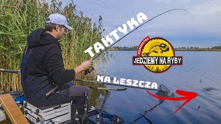 FEEDEROWA TAKTYKA na JESIENNE LESZCZE - PIKER / KLASYK