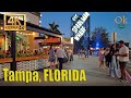 4k NIGHT WALK DOWNTOWN and Channel District, Tampa, Florida, USA  - October 2022