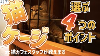 【猫のお世話】失敗しないキャットケージの選び方を解説！