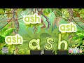 ASH WORD FAMILY | MONKEY PHONICS | Playlist | Phonics Garden