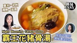 霸王花豬骨湯 夏末•初秋湯水 立秋後、清熱、潤肺 Soup recipe for autumn Chinese healthy soup recipe night blooming cereus