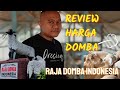 REVIEW HARGA DOMBA DI RAJA DOMBA INDONESIA||SENTRA DOMBA TERBESAR DI JEMBER