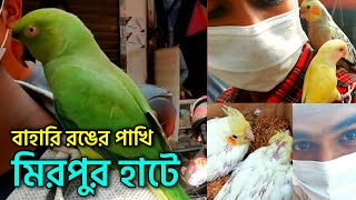 রঙ্গিন পাখির দাম জানুন | জমজমাট পাখির হাট | Mirpur-1 Bird market | Biggest Bird market in BD | Pakhi