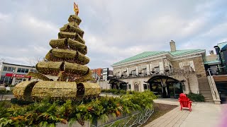 Oakville Downtown 圣诞树🎄湖边漫步❄️冬天合家欢好去处❄️Ontario Canada