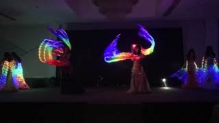 Wings led and Fanveil led poi. Belly dance