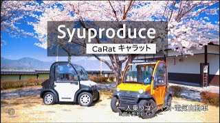 何この車？コンパクトEV『Carat』田舎で乗ってます‼️