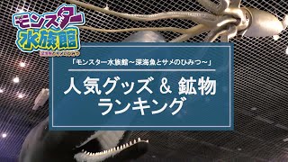 人気グッズ＆鉱物ランキング　「モンスター水族館～深海魚とサメのひみつ～」