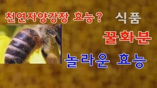 꿀화분 놀라운 효능