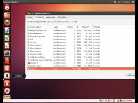 The Taskmanager in Ubuntu The Taskmanager in Ubuntu