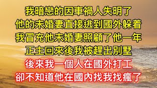 我暗戀的因車禍人失明了，他的未婚妻直接逃到國外躲着，我冒充他未婚妻照顧了他一年，正主回來後我被趕出別墅，後來我一個人在國外打工，卻不知道他在國內找我找瘋了