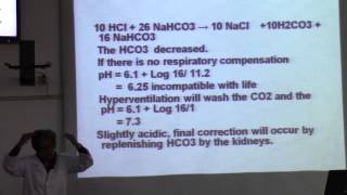 13- physiology ( kidney ) Dr.mona Aziz 31/3/2016