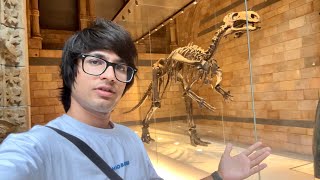 Dinosaurs Dekh Liya 😲 Real