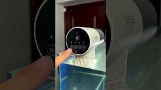 Smart Automatic Fish Feeder Perfect Timing, Silent Feeding #fish #fishcare #aquariumcare