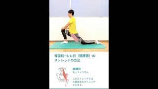 【股関節の柔軟性を高める】骨盤前面（腸腰筋）のストレッチ #shorts #ストレッチ