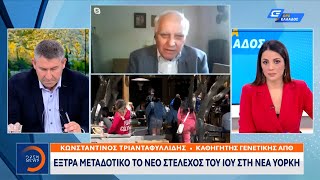 Κορωνοϊός: Χαμόγελα για την κανονικότητα, προβληματισμός για τους συνωστισμούς | Μεσημεριανό Δελτίο