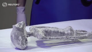 Mexican doctors X-ray alleged 'non-human' remains