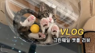 아기 고양이 단추 VLOG | 그린웨일 캣폴 리뷰, 3개월 고양이 캣폴 추천