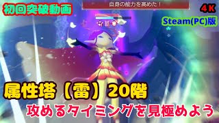 【レスレリ】 属性塔【雷】20階 最上階クリア (PC版 4K)