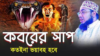 কবরের সাপ কতইনা ভয়াবহ হবে || মুফতি জহিরুল ইসলাম ফরিদী || faridi bangla waz