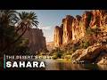 Unseen Sahara | The Desert’s Forbidden Diary | Video Travel 4K