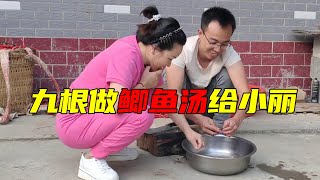 老鸡送来野生鲫鱼，九根给小丽做鲫鱼汤，小丽吃在嘴里甜在心里！【土家九根】