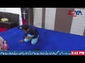 Zoya Tv Official Live Stream | Sunday Service Zoya Church 10 November 2024