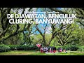 De Djawatan, Benculuk | Bak di Negeri Dongeng tapi ini di Banyuwangi #banyuwangi #wisatabanyuwangi