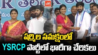 షర్మిల సమక్షంలో YSRCP పార్టీలో భారీగా చేరికలు | YSRCP YS Sharmila | Telangana News | YOYO TV NEWS