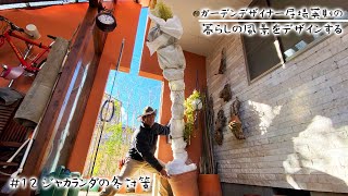 【暮らしの風景をデザインする #12】鉢植えのジャカランダに不織布を巻いて冬対策【ガーデンデザイナー居場英則】