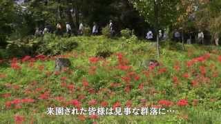 雪国植物園の花々(2014年9月下旬)