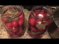 natural probiotic pickled radishes and garlic.