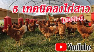 5เทคนิครับไก่สาว