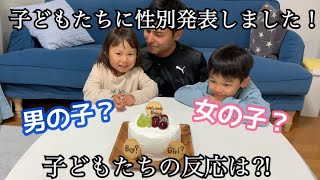 【性別発表】ジェンダーリビールケーキで3人目性別発表！子どもたちの反応は⁈#性別発表 #サプライズ #ジェンダーリビールケーキ #3人目 #妊娠 #育児