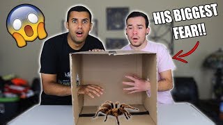 INSANE WHAT'S IN THE BOX CHALLENGE!!! MOUSE TRAPS / TARANTULA  *INSANELY DANGEROUS*