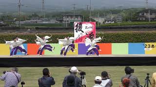 【4K】焼津よさこい舞踏團踊り屋「はす組」 あっぱれ富士　メイン会場　1回目