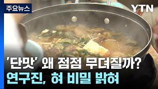 왜 단맛이 점점 무뎌질까?...혀의 비밀 밝혔다 / YTN