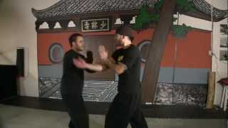 Hung Gar, Combo From Gong Ji, Hung Gar Kuen