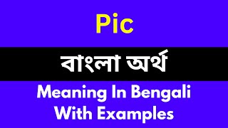 Pic meaning in bengali/Pic শব্দের বাংলা ভাষায় অর্থ অথবা মানে কি