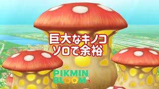 巨大なキノコ？ソロで余裕【ピクミンブルーム / Pikmin Bloom 】