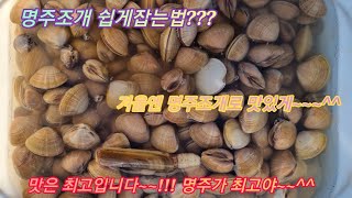 겨울해루질! 명주조개는 안면도어디에서나~ㅎ 쉽게줏으면됩니다#안면도해루질#태안해루질#삼봉#기지포#백사장#꽃지#아일랜드#낚시#춘장대#대천#무창포#독산해수욕장#샛별#소라#골뱅이#대맛조개