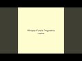 Whisper Forest Fragments