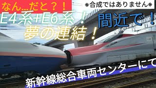 【E4＆E6⁉】夢の連結！E4系+E6系！新幹線総合車両センターにて（新幹線車両基地まつり）