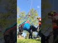 Cow With Broken Leg Airlifted to Safety in Switzerland