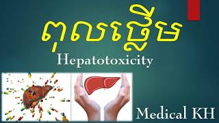 Hepatotoxicity_ពុលថ្លើម